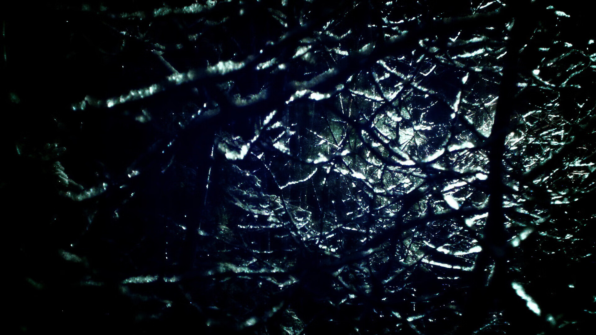 开云体育APP下载-巨人的苏醒，当戈贝尔统治油漆区，深圳队终结魔术神话