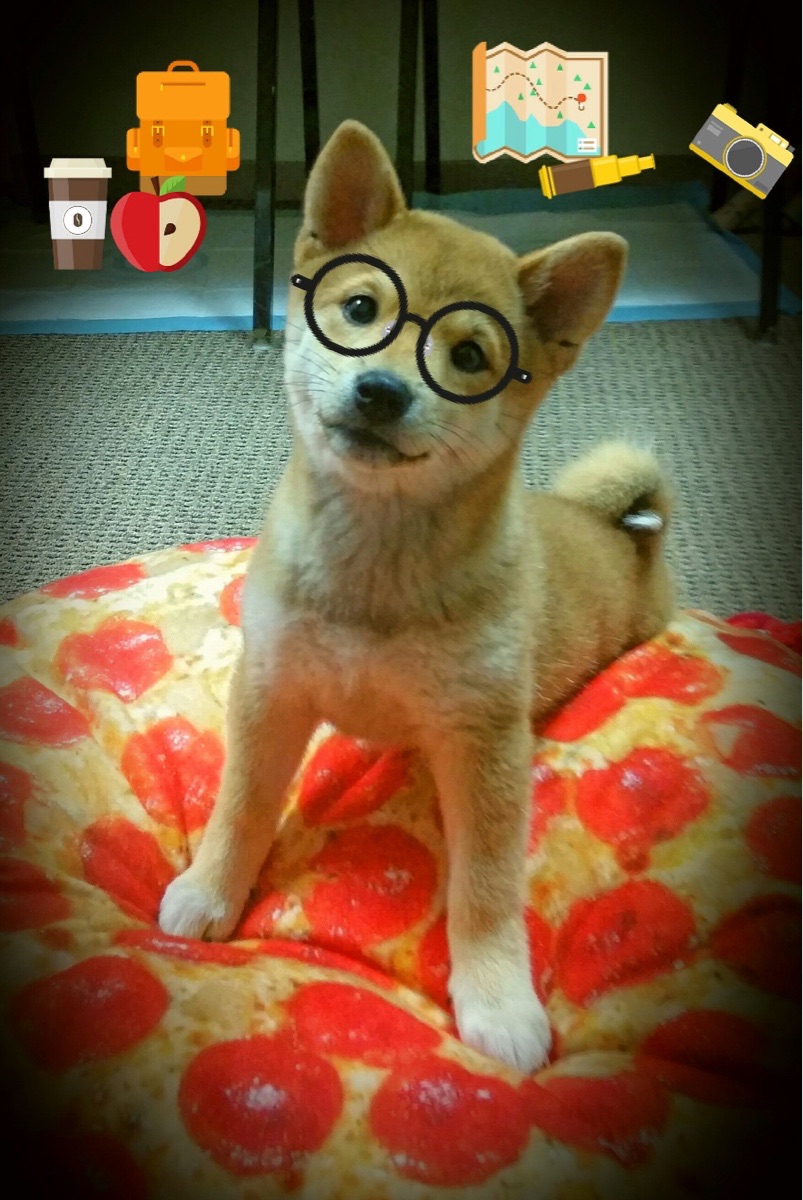 总决赛唯一主角，西亚卡姆一球定音，公牛王朝最后一舞被冰封