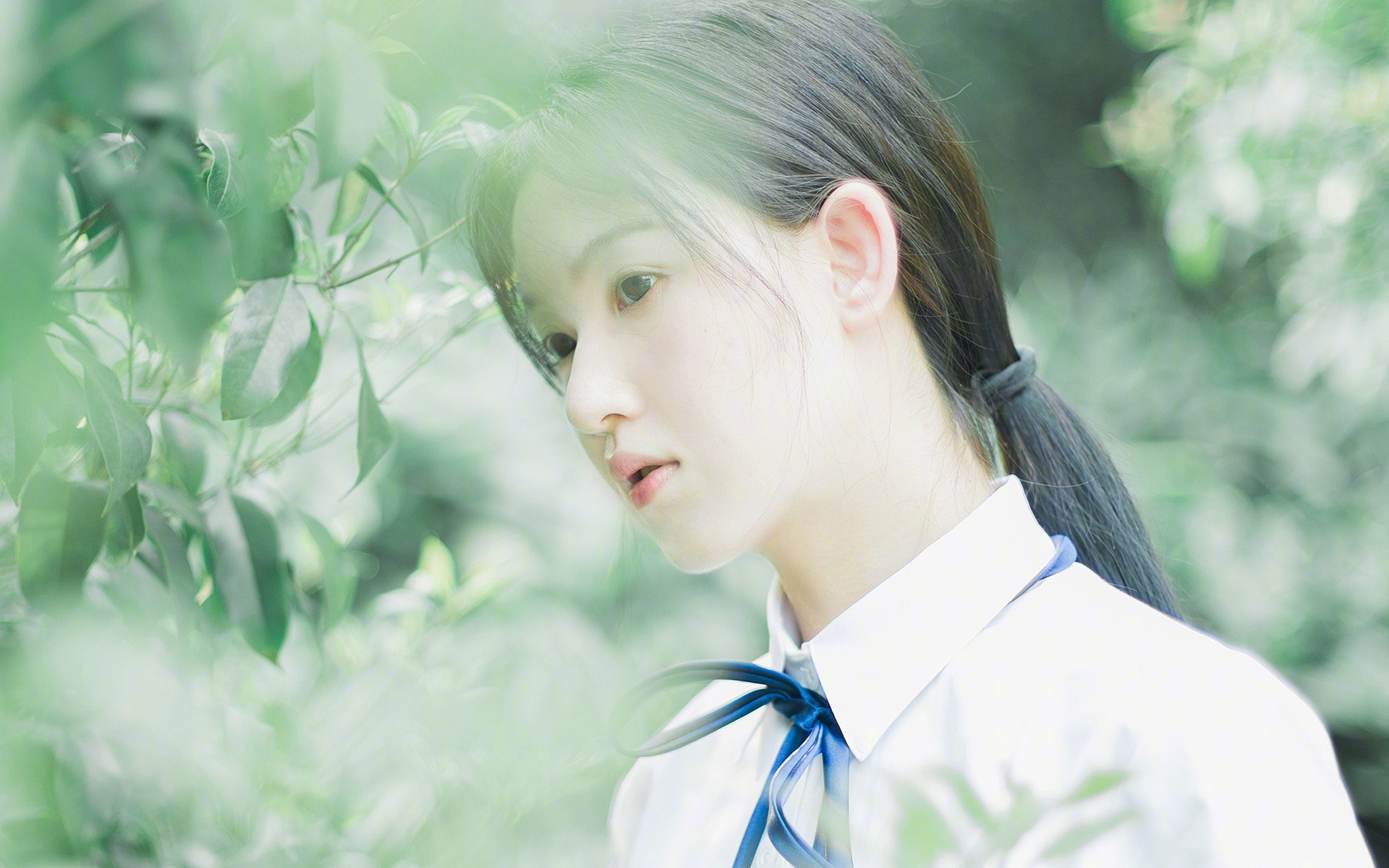 开云体育在线-赛场上的绝对法则，当森林狼撕碎防线，哈登在弯道接管比赛