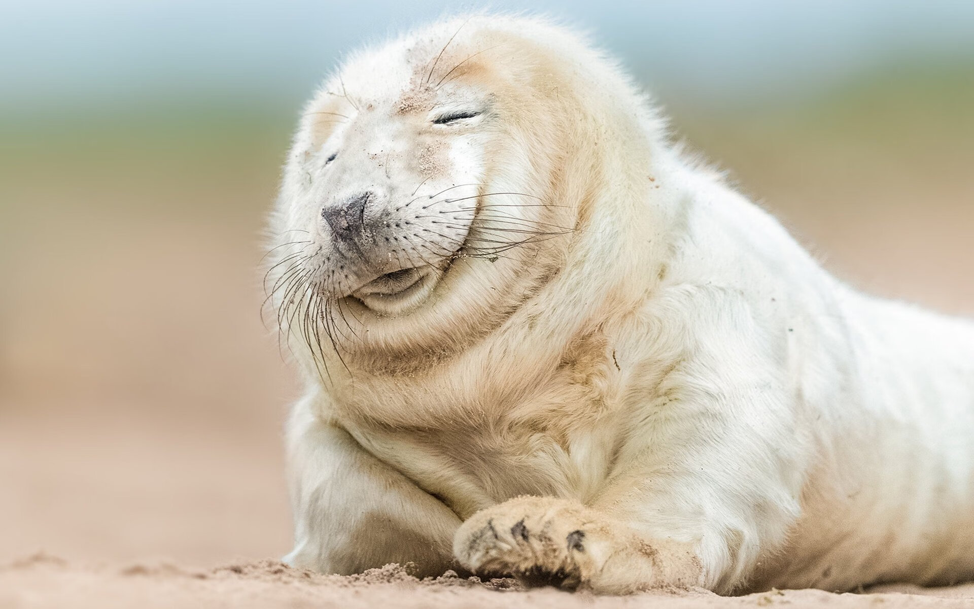 当戈贝尔扼住命运的咽喉,CBA上海队正用太阳的溃败讲述同一个暗面真理