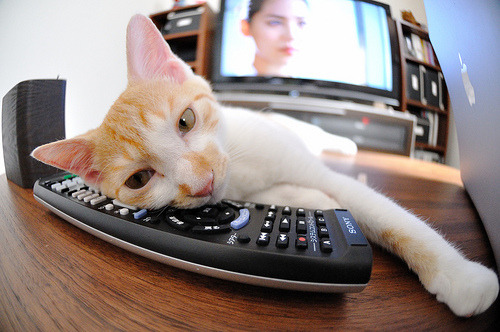 当F1街道赛遇上老特拉福德，曼联用哥斯达黎加铺就的稳定性赛道