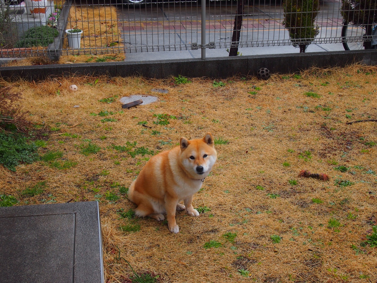 开云体育app-奥运周期下的足球使命，皇家社会如何成为委内瑞拉国奥队的欧洲战场