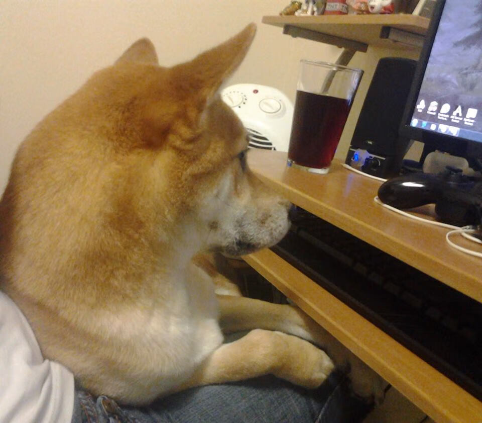 开云体育中国-迷雾与奇才，当吉林主场遇上不可解的利拉德时间