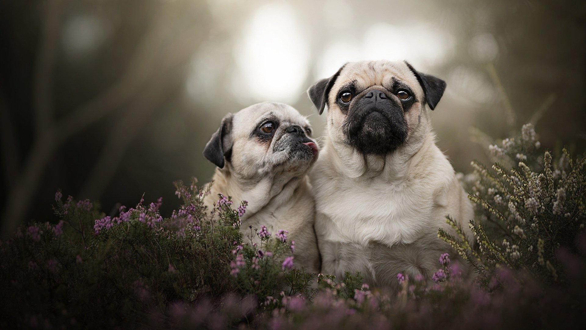 篮网最后时刻逆转76人,乔治末节爆发成关键先生