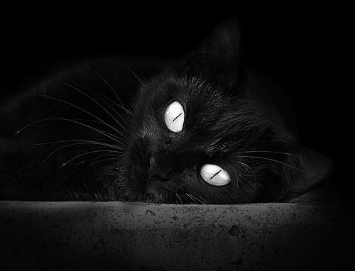 当阿圭罗用天赋改写纪录，克罗地亚用坚韧雕刻时光