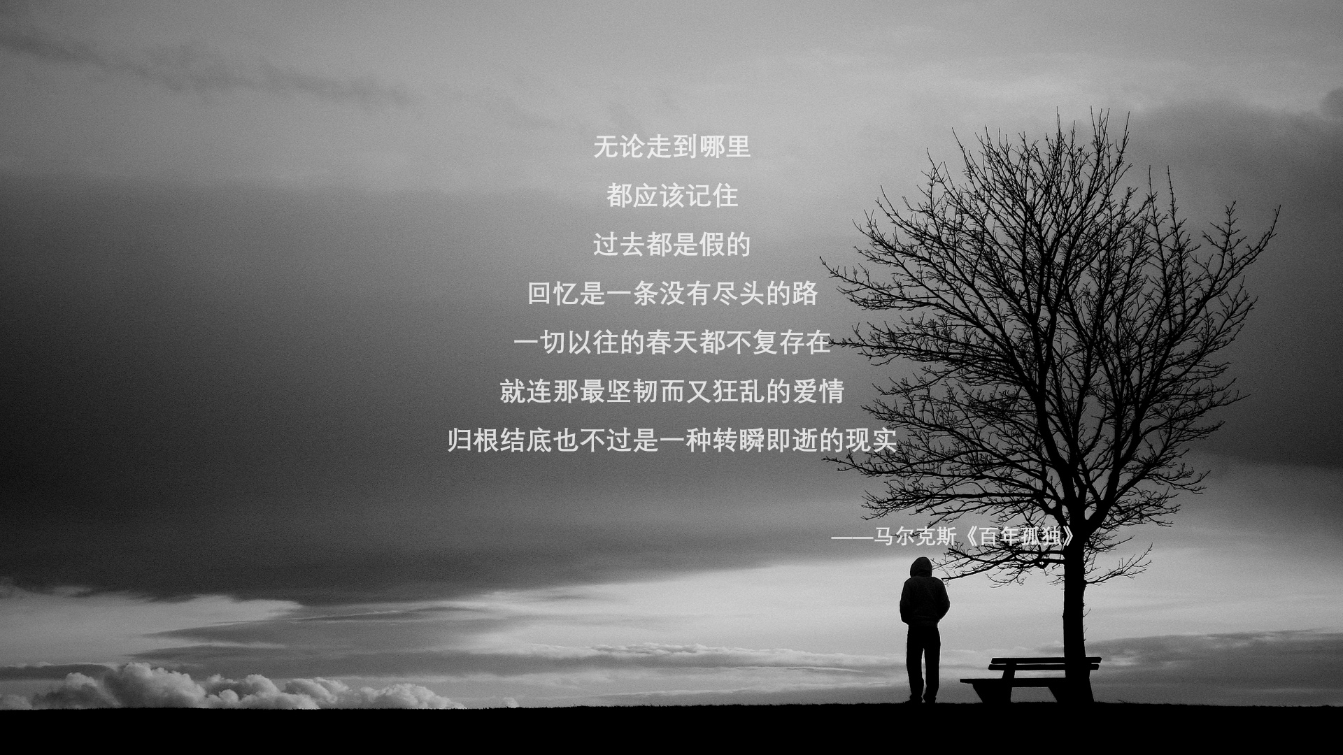 开云体育官网-绿茵场上的北非旋风，迪亚斯一锤定音，黄色潜水艇力克摩洛哥劲旅