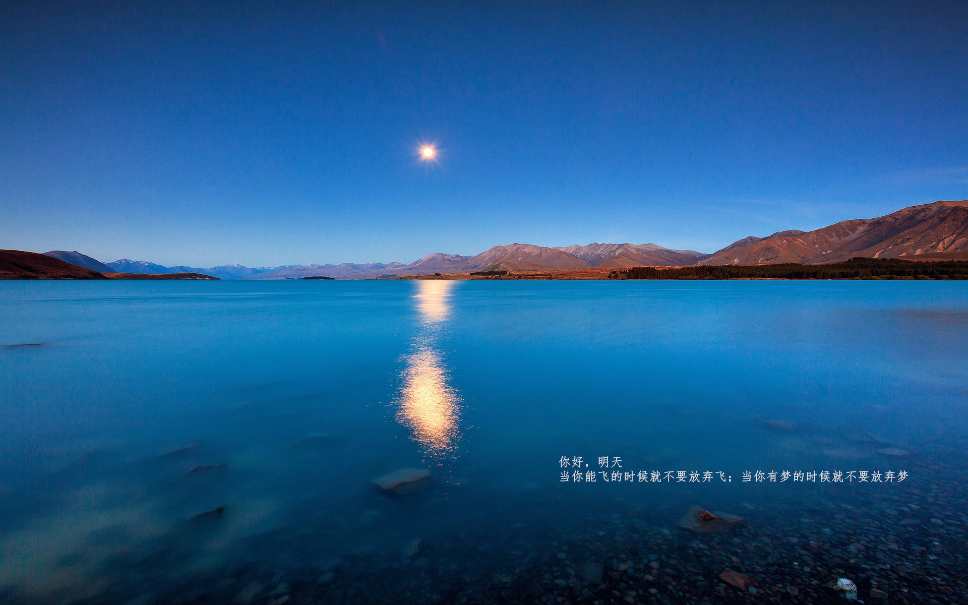 逆光的神迹，2026半决赛波兰绝杀奥地利，孙兴慜替补点燃东方火焰