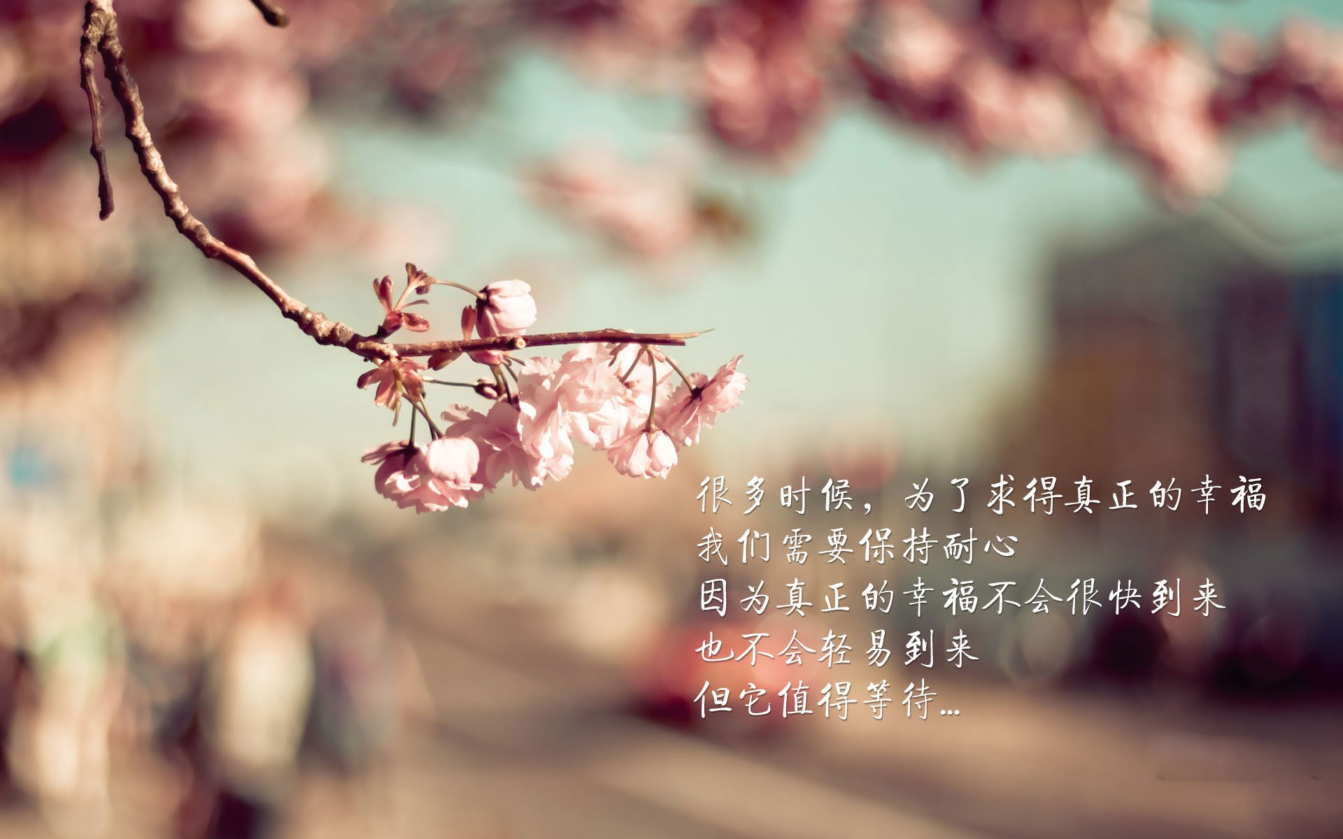 冰与火之歌,当安第斯雄鹰折服于东瀛疾风—2026世界杯A组,三笘薰如何用唯一性撕裂哥斯达黎加