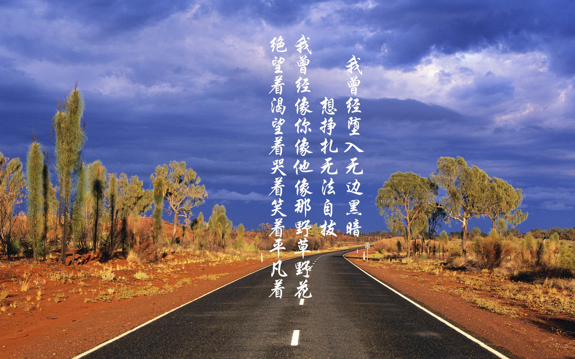 开云sport-暗夜奔袭，当斗牛士收起红布，罗德里戈用三秒刺穿非洲雄狮的心脏