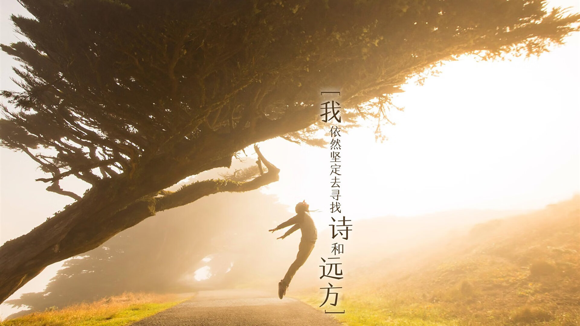 一个被重新定义的夜晚,当西班牙的传控哲学遇见久保建英的孤胆史诗