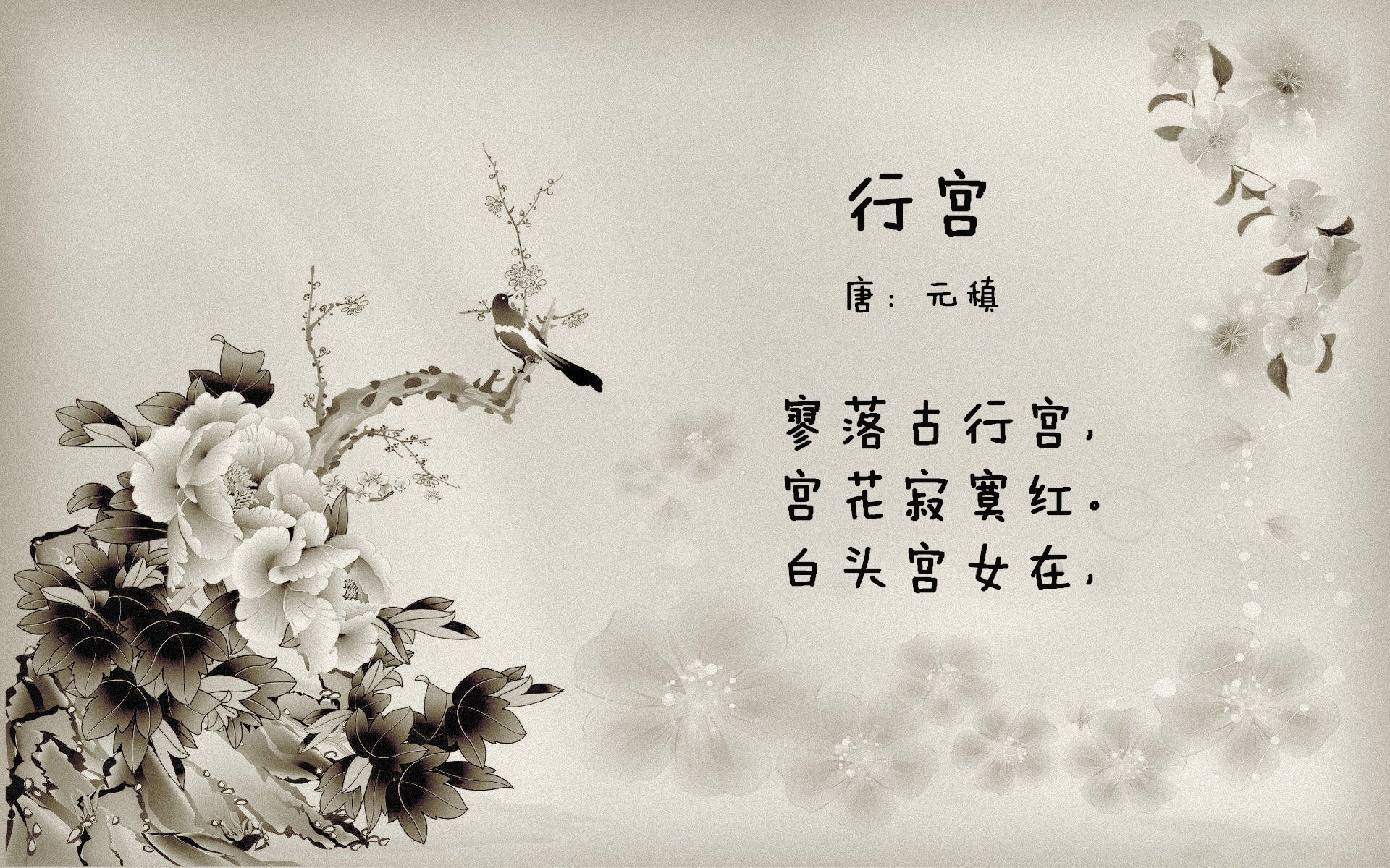 唯一的C罗，当传奇在2026世界杯F组强强对话中，跨越现实与幻想的边界
