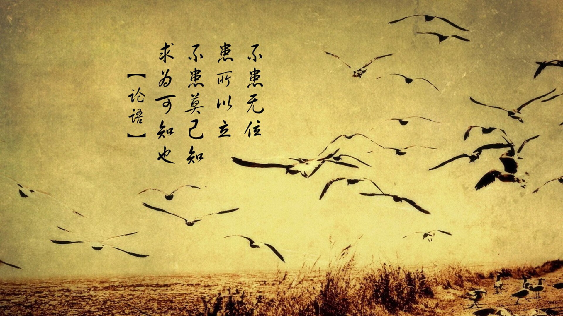 开云体育入口-高原红蓝对决，登贝莱的致命弧线，如何用碾压定义暴力美学与意志抗争
